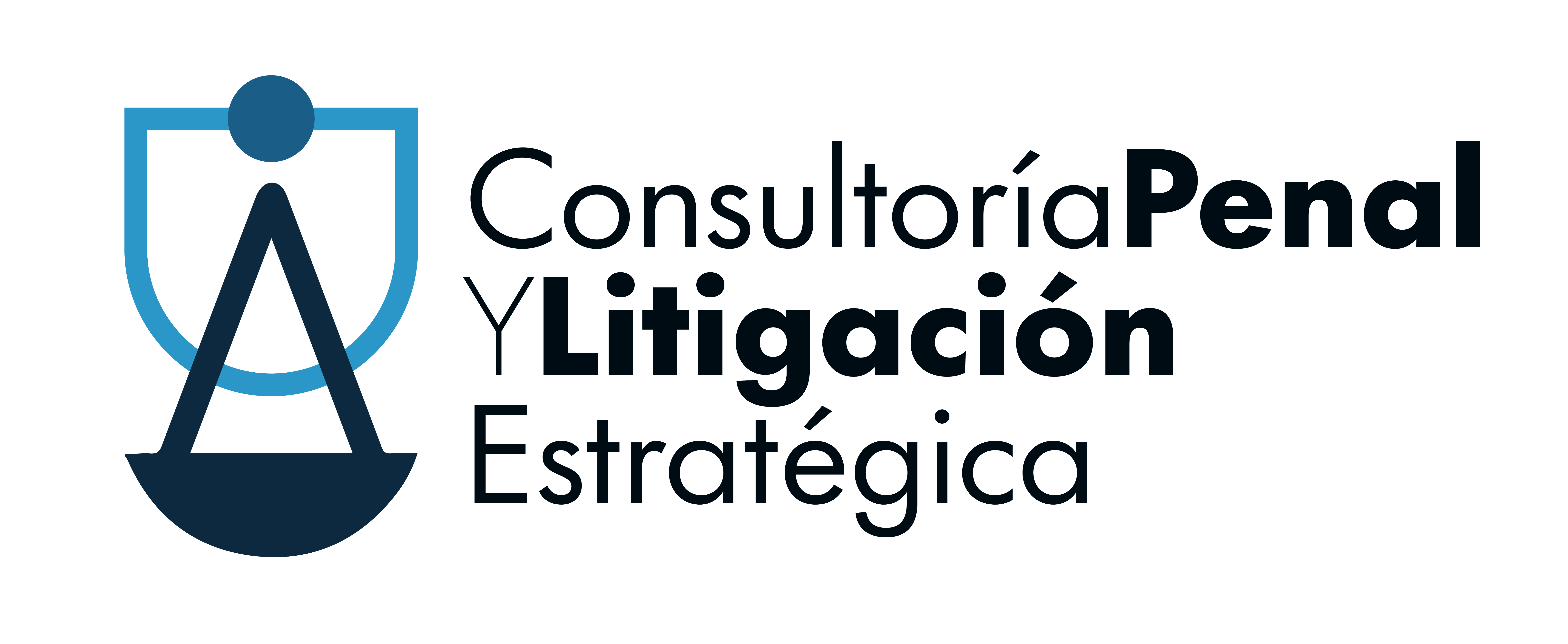 Litigación Penal Estrategica